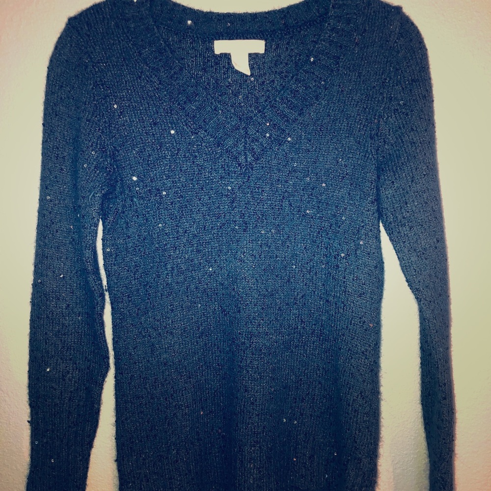 Banana Republic Sparkly Navy V Neck Sweater